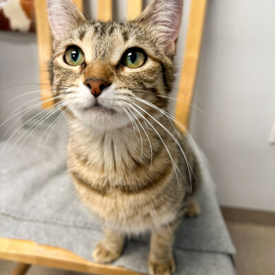A petite friendly girl!