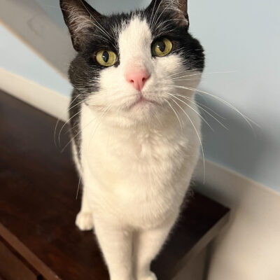 Friendly chatty male