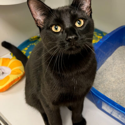 Sweet affectionate boy