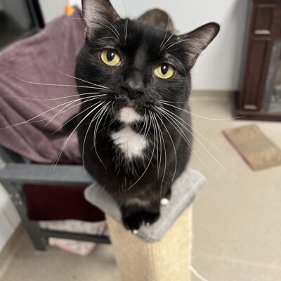 Friendly girl