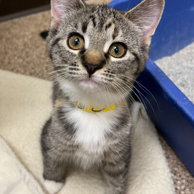 Cute curious girl