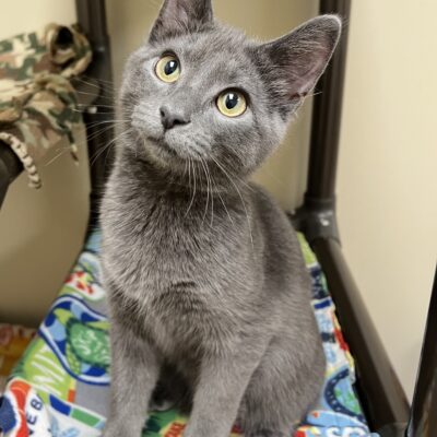 Outgoing lovable guy