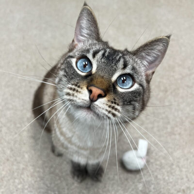 Slightly shy but very sweet