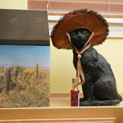 Damien is a very special black male cat with glowing green eyes.