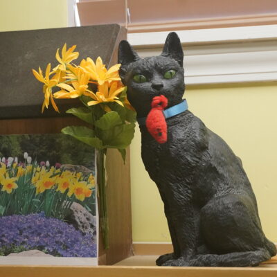 Damien is a very special black male cat with glowing green eyes.