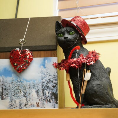 Damien is a very special black male cat with glowing green eyes.