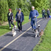 Image from the Mutt Strut event on September 9, 2018