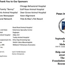 Image from the Paws in the Park Dog Walk event on September 10, 2023