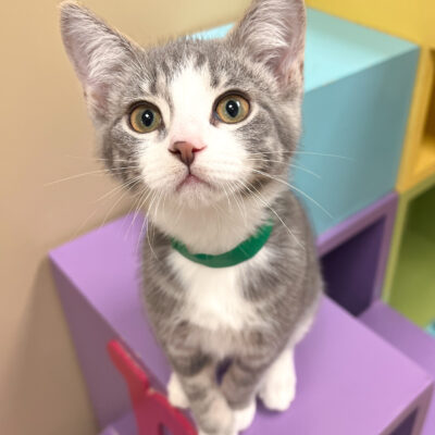 Very friendly girl