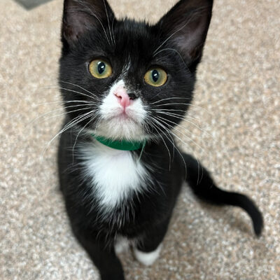 A very laid-back little girl
