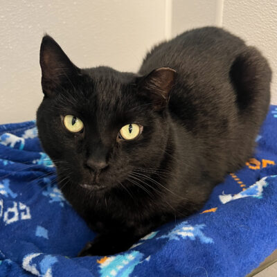 Sweet affectionate boy