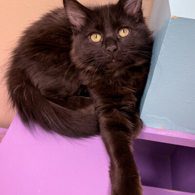 Very sweet and playful