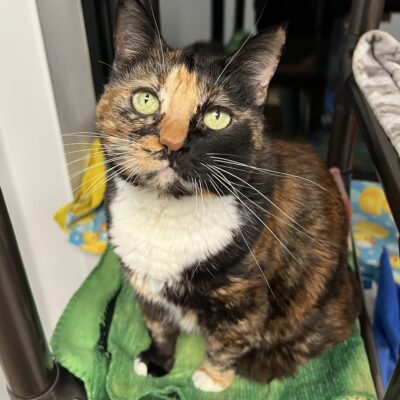 Friendly girl