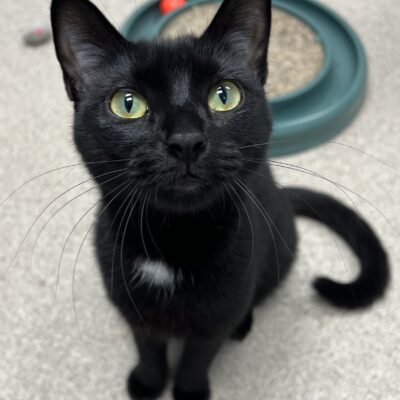 Friendly girl