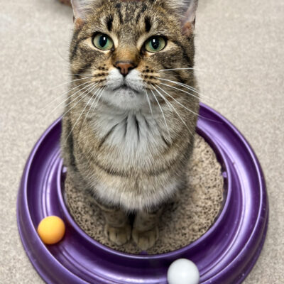 Social attention loving girl