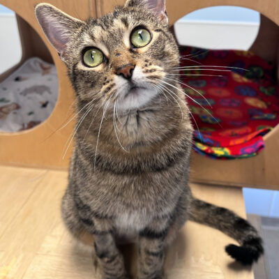 Friendly girl