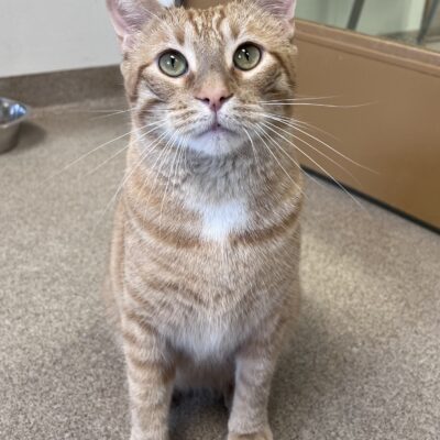 Sweet boy