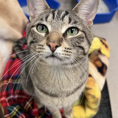 Friendly guy