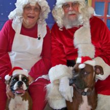 Image from the Photos with Mr. & Mrs. Santa Paws event on December 17, 2016