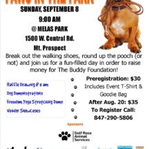 Image from the Paws In The Park event on September 8, 2019