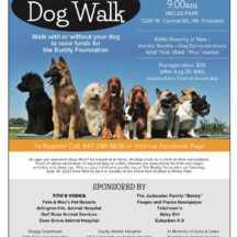 Image from the Paws in the Park Dog Walk event on September 11, 2022