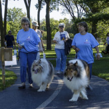 Image from the Mutt Strut event on September 11, 2016