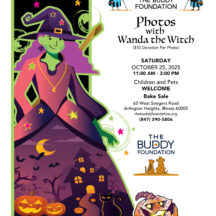 Image from the Photos with Wanda event on October 25, 2025