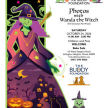 Image from the Photos with Wanda event on October 24, 2026