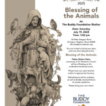 Image from the Blessing of the Animals event on July 19, 2025