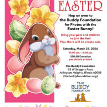 Image from the Photos with the Easter Bunny event on March 28, 2026