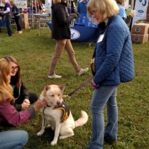 Image from the JDRF Walk Dog Event event on September 30, 2018