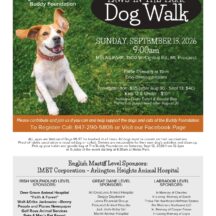 Image from the Paws In The Park event on September 13, 2026